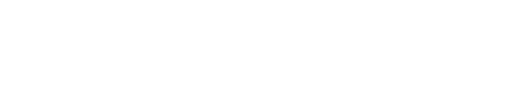 Wraith Logo